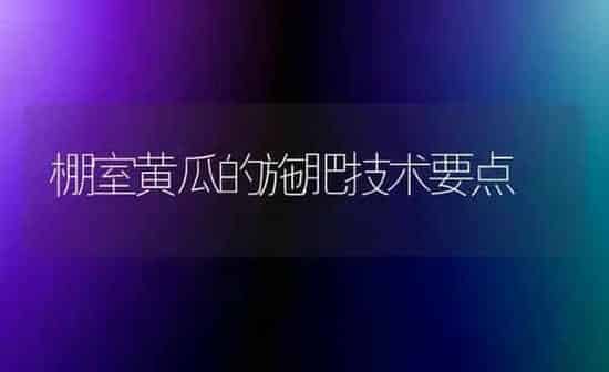 棚室黄瓜的施肥技术要点 | 种植肥料施肥