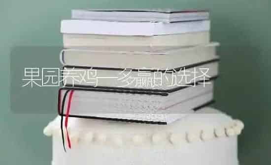 果园养鸡—多赢的选择 | 瓜果种植