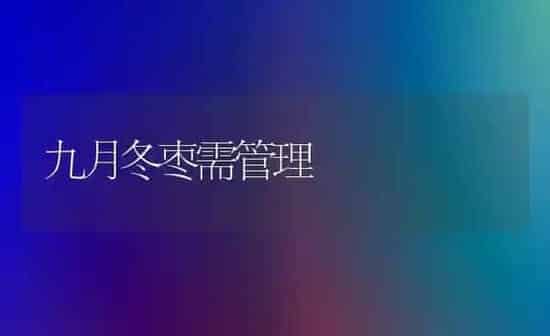 九月冬枣需管理 | 瓜果种植
