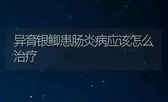 盆栽葡萄越冬要留意 | 瓜果种植