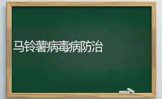 马铃薯病毒病防治 | 粮油作物种植