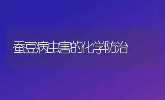 蚕豆病虫害的化学防治 | 种植病虫害防治