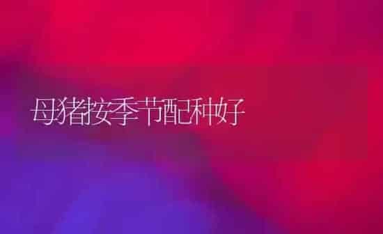 耐热黄瓜新品种---津绿4号 | 蔬菜种植