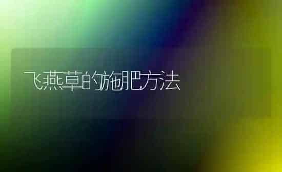 飞燕草的施肥方法 | 种植肥料施肥
