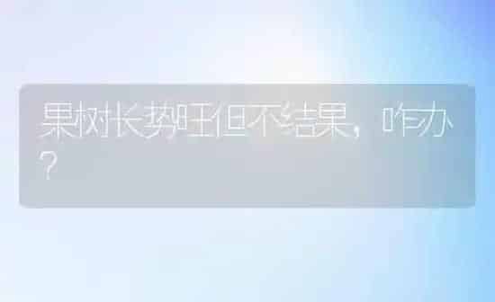 果树长势旺但不结果，咋办？ | 瓜果种植