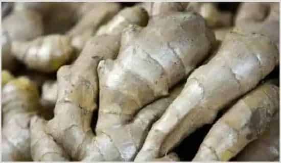 春季生姜种植管理技巧 | 种植资料