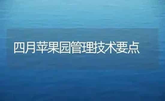 四月苹果园管理技术要点 | 瓜果种植