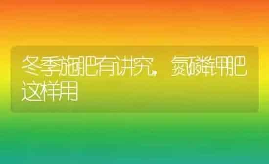 冬季施肥有讲究，氮磷钾肥这样用 | 种植肥料施肥