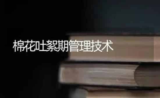 棉花吐絮期管理技术 | 粮油作物种植