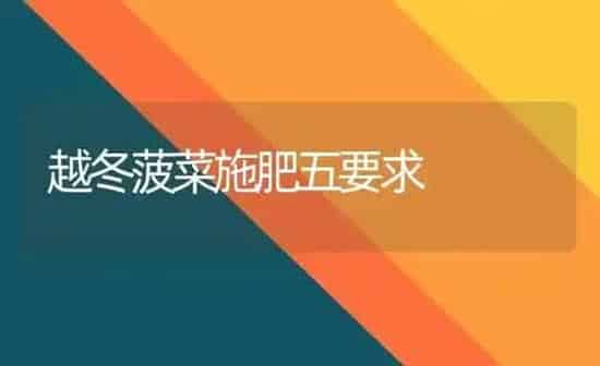 越冬菠菜施肥五要求 | 种植肥料施肥