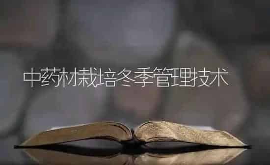 中药材栽培冬季管理技术 | 药材种植