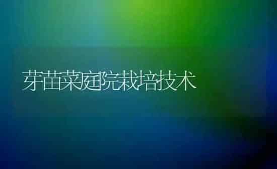 芽苗菜庭院栽培技术 | 蔬菜种植