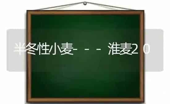 半冬性小麦---淮麦20 | 粮油作物种植