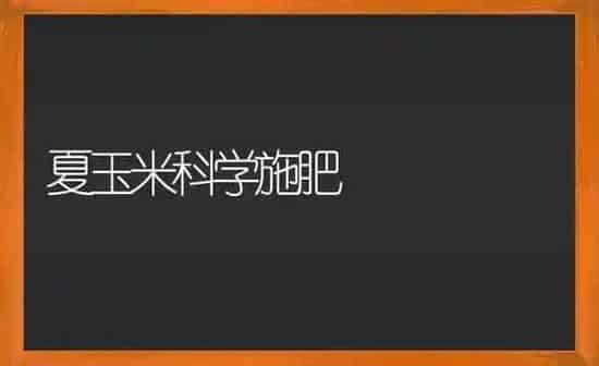 夏玉米科学施肥 | 种植肥料施肥