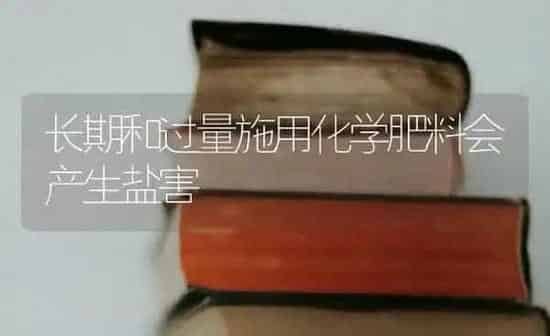 长期和过量施用化学肥料会产生盐害 | 种植肥料施肥