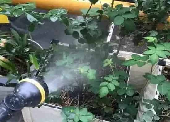植物浇水|用河水浇花好不好 河水浇花的正确方法