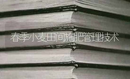 春季小麦田间施肥管理技术 | 粮油作物种植