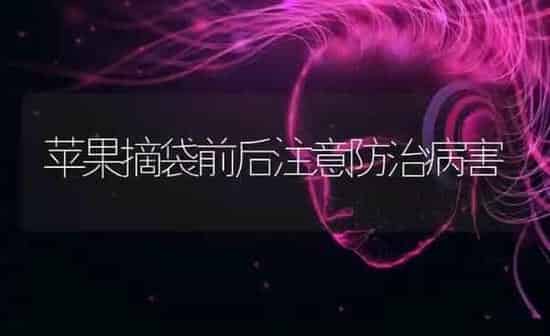 苹果摘袋前后注意防治病害 | 瓜果种植