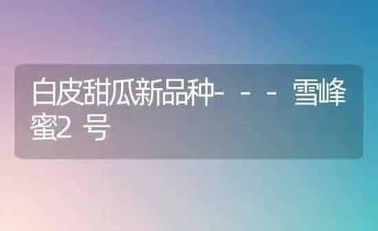 白皮甜瓜新品种---雪峰蜜2号 | 瓜果种植