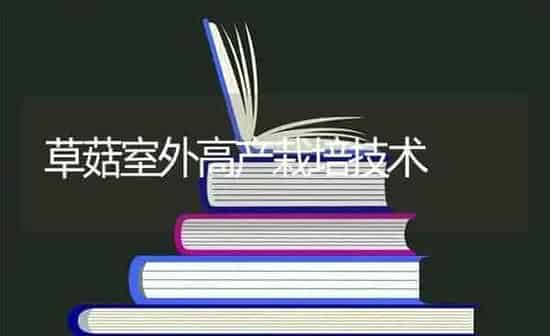 草菇室外高产栽培技术 | 食用菌种植