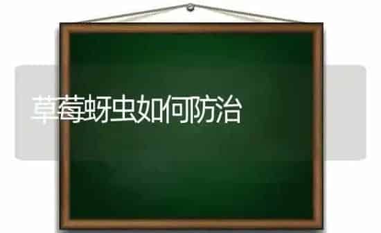 草莓蚜虫如何防治 | 瓜果种植