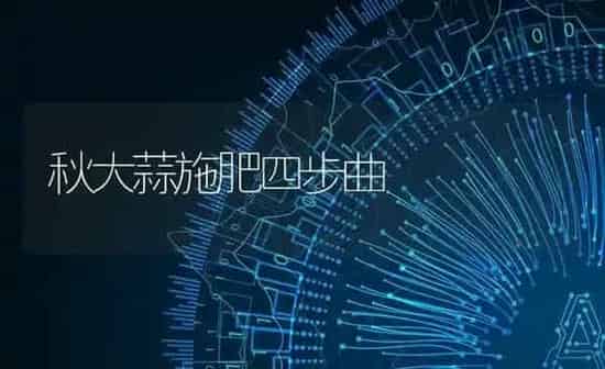 秋大蒜施肥四步曲 | 种植肥料施肥
