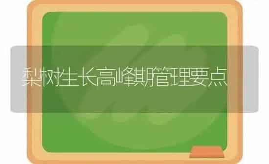 梨树生长高峰期管理要点 | 瓜果种植