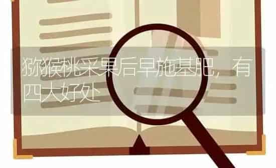 猕猴桃采果后早施基肥，有四大好处 | 瓜果种植