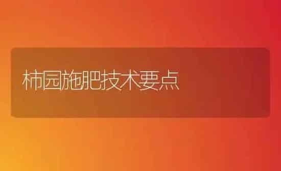 柿园施肥技术要点 | 种植肥料施肥