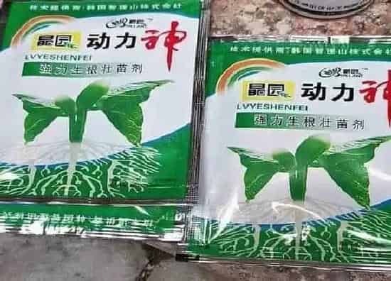 种植管理|快速生根粉的作用和使用方法 如何正确使用效果更好