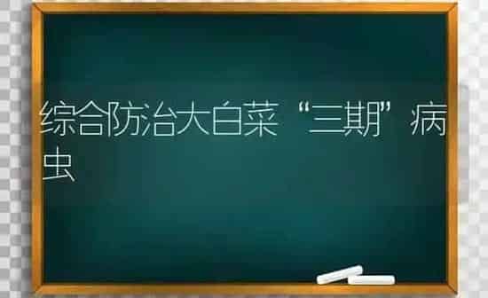 综合防治大白菜“三期”病虫 | 蔬菜种植