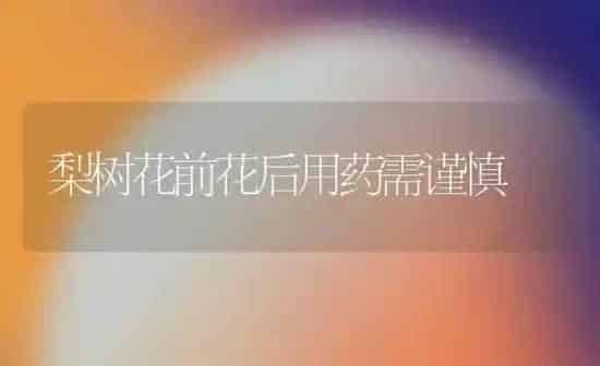 蔬菜黄叶解决技巧 | 蔬菜种植