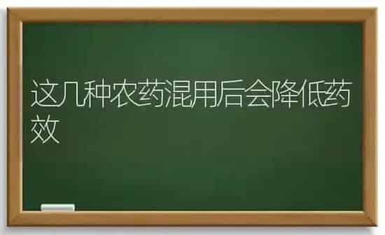这几种农药混用后会降低药效 | 种植病虫害防治