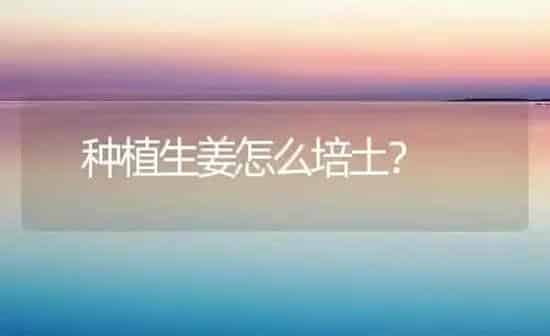 种植生姜怎么培土？ | 植物种植百科