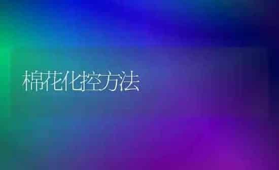 棉花化控方法 | 粮油作物种植