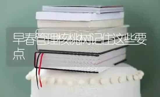 早春管理核桃树记住这些要点 | 瓜果种植