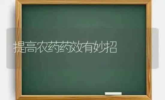 提高农药药效有妙招 | 种植病虫害防治