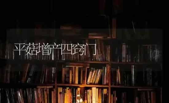 平菇增产四窍门 | 食用菌种植