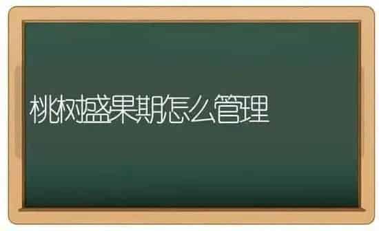 桃树盛果期怎么管理 | 瓜果种植