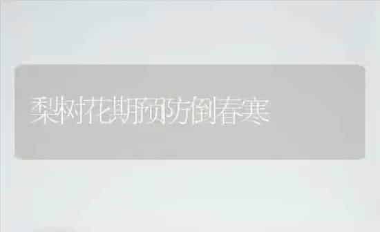 梨树花期预防倒春寒 | 瓜果种植