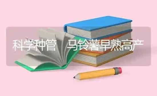 科学种管 马铃薯早熟高产 | 粮油作物种植