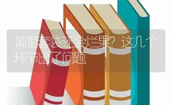 葡萄套袋还会烂果？这几个环节出了问题 | 瓜果种植