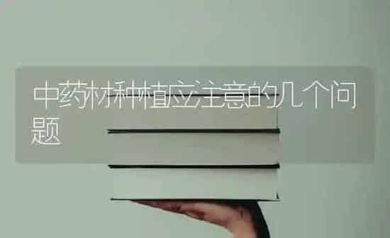 中药材种植应注意的几个问题 | 药材种植