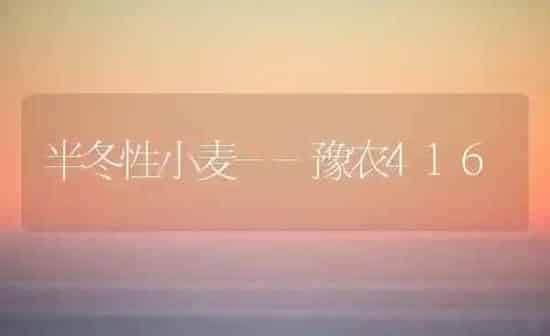 半冬性小麦--豫农416 | 粮油作物种植