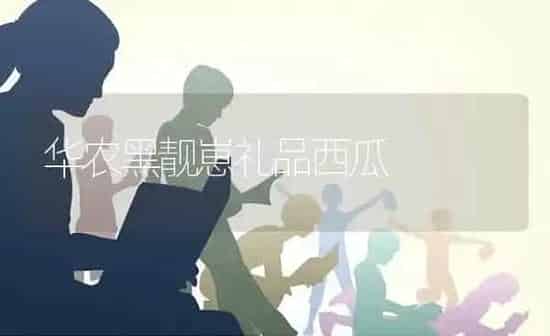 红心萝卜品种介绍 | 蔬菜种植