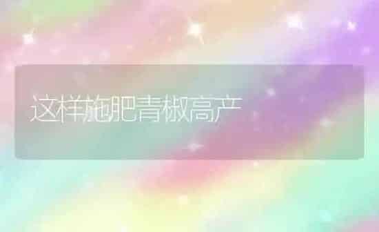 这样施肥青椒高产 | 种植肥料施肥
