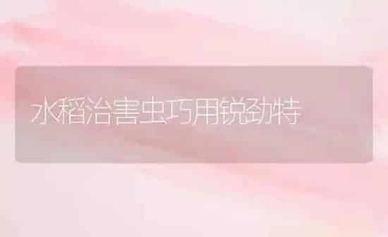 水稻治害虫巧用锐劲特 | 粮油作物种植