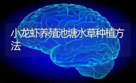 小龙虾养殖池塘水草种植方法 | 植物种植百科