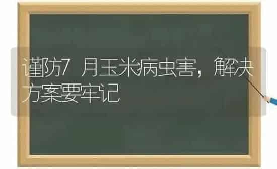 谨防7月玉米病虫害,解决方案要牢记 | 种植病虫害防治