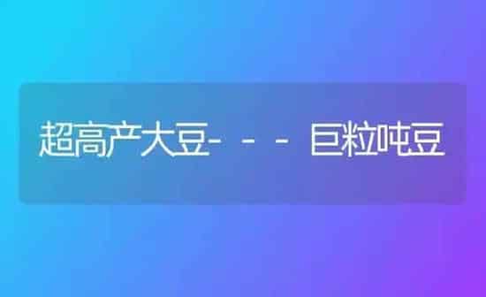 超高产大豆---巨粒吨豆 | 粮油作物种植